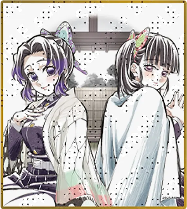 16:胡蝶しのぶ・栗花落カナヲ(B33)