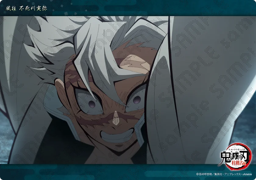 テレビアニメ「鬼滅の刃」「不死川実弥」コレクションビッグ